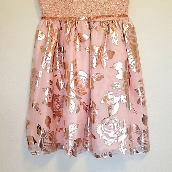 Rose Gold Children's Place Dress NWT - Picture 3 of 7